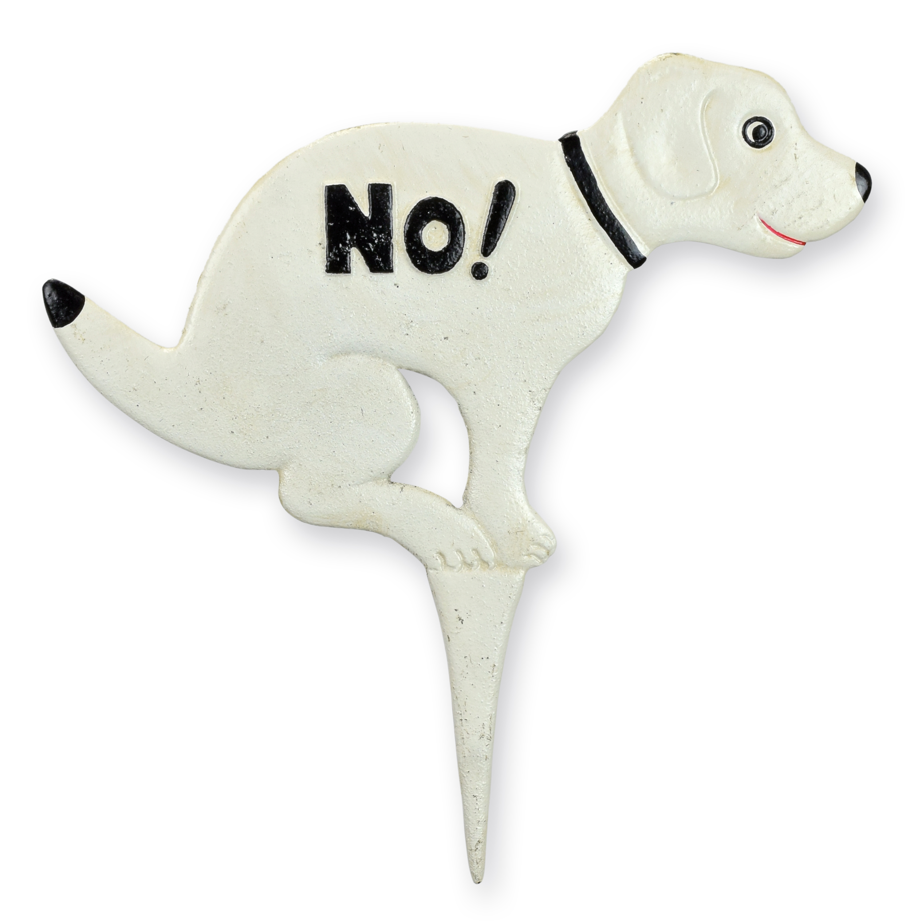 Tier, Känguru, Säugetier