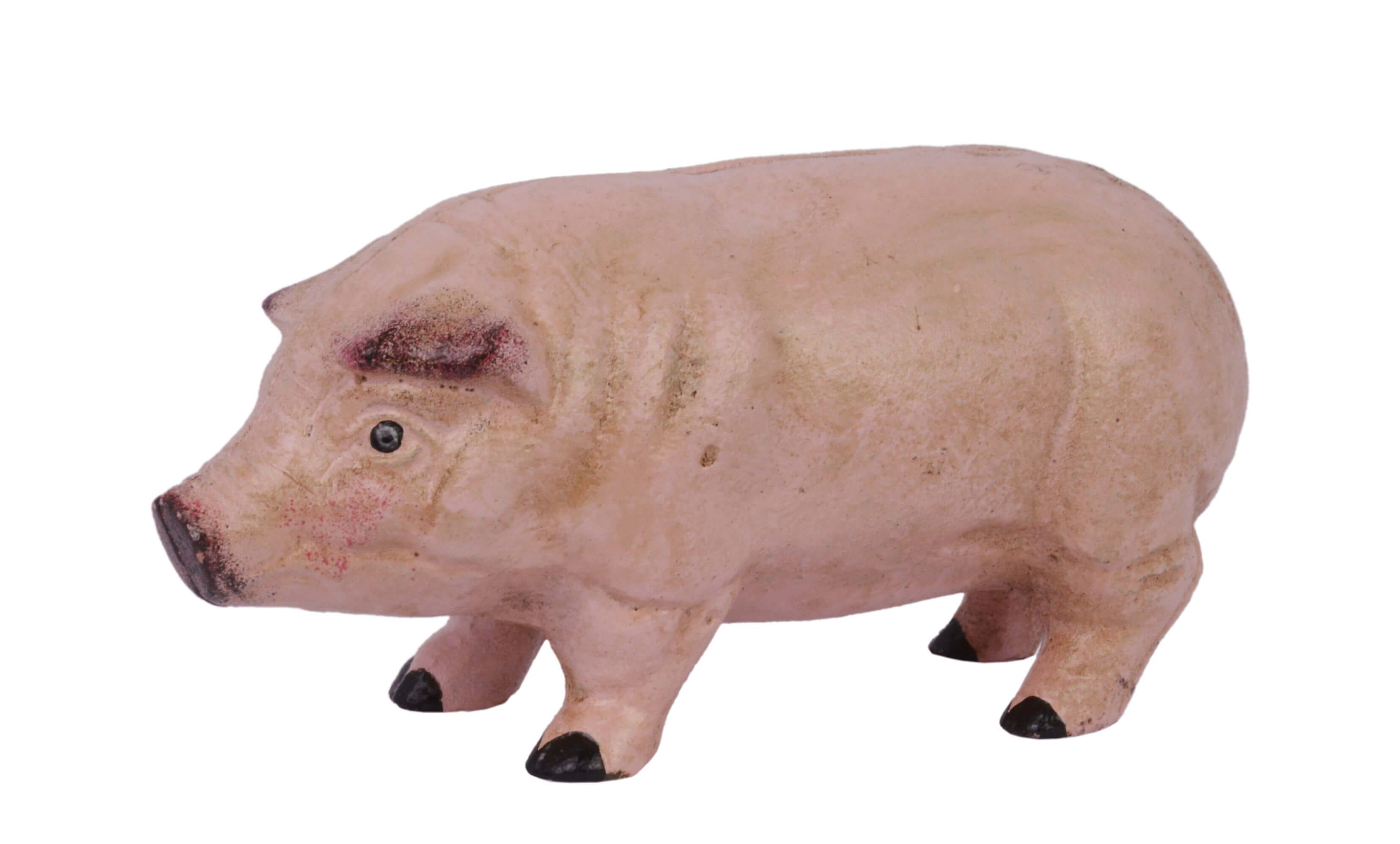 Tier, Säugetier, Schwein