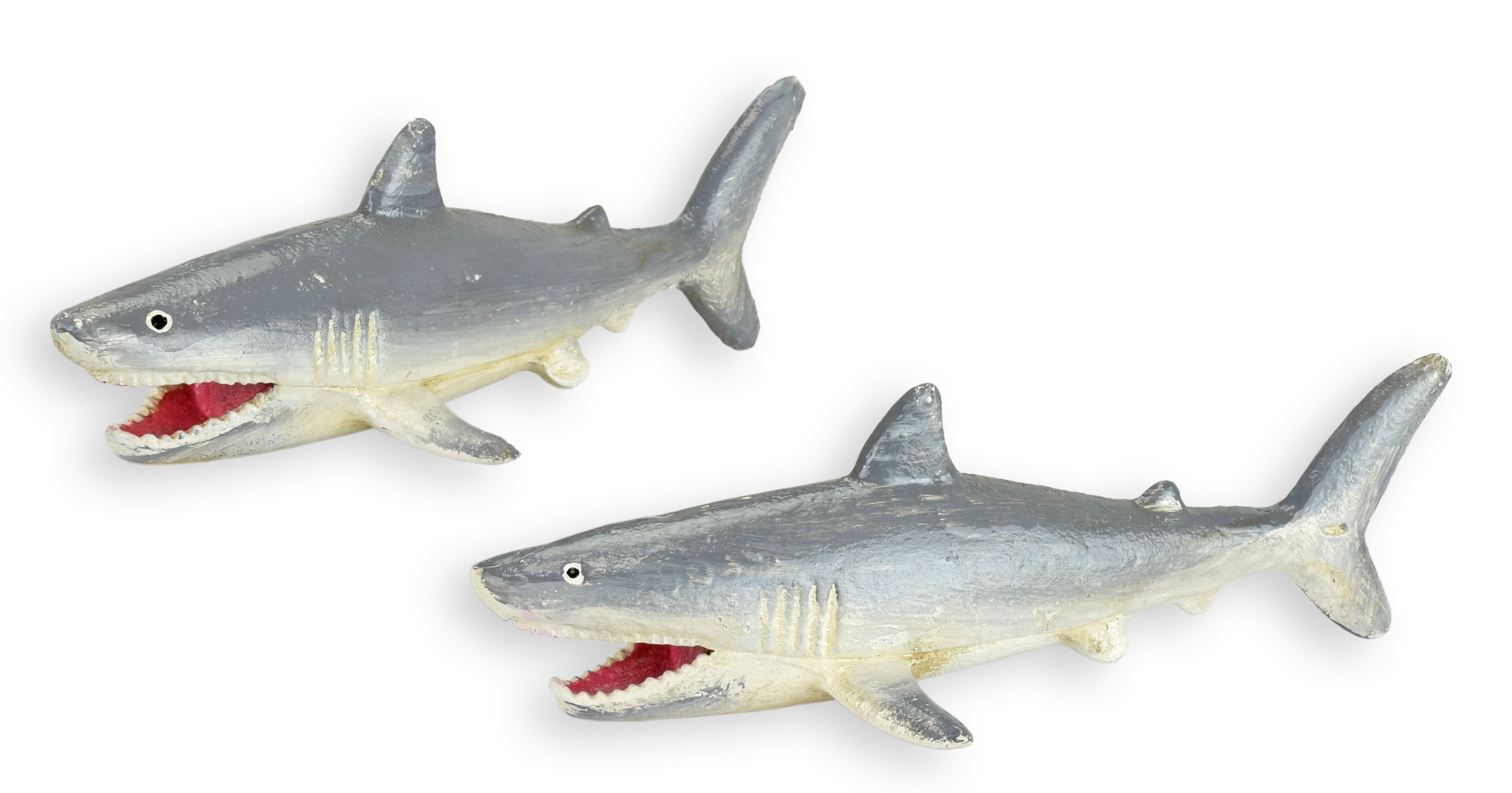 Tier, Fische, Leben im Meer, Hai