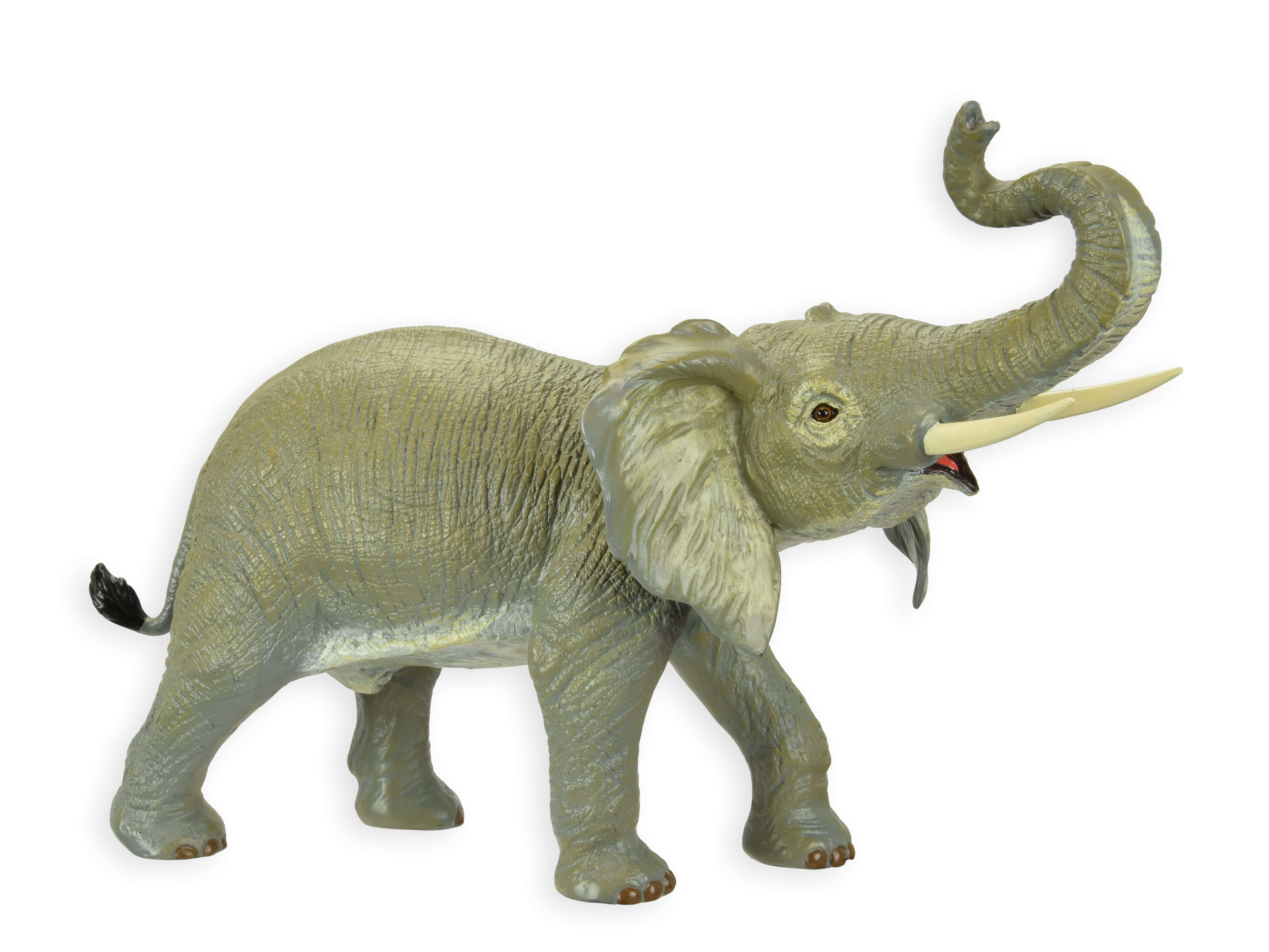 Tier, Elefant, Säugetier, Tierwelt