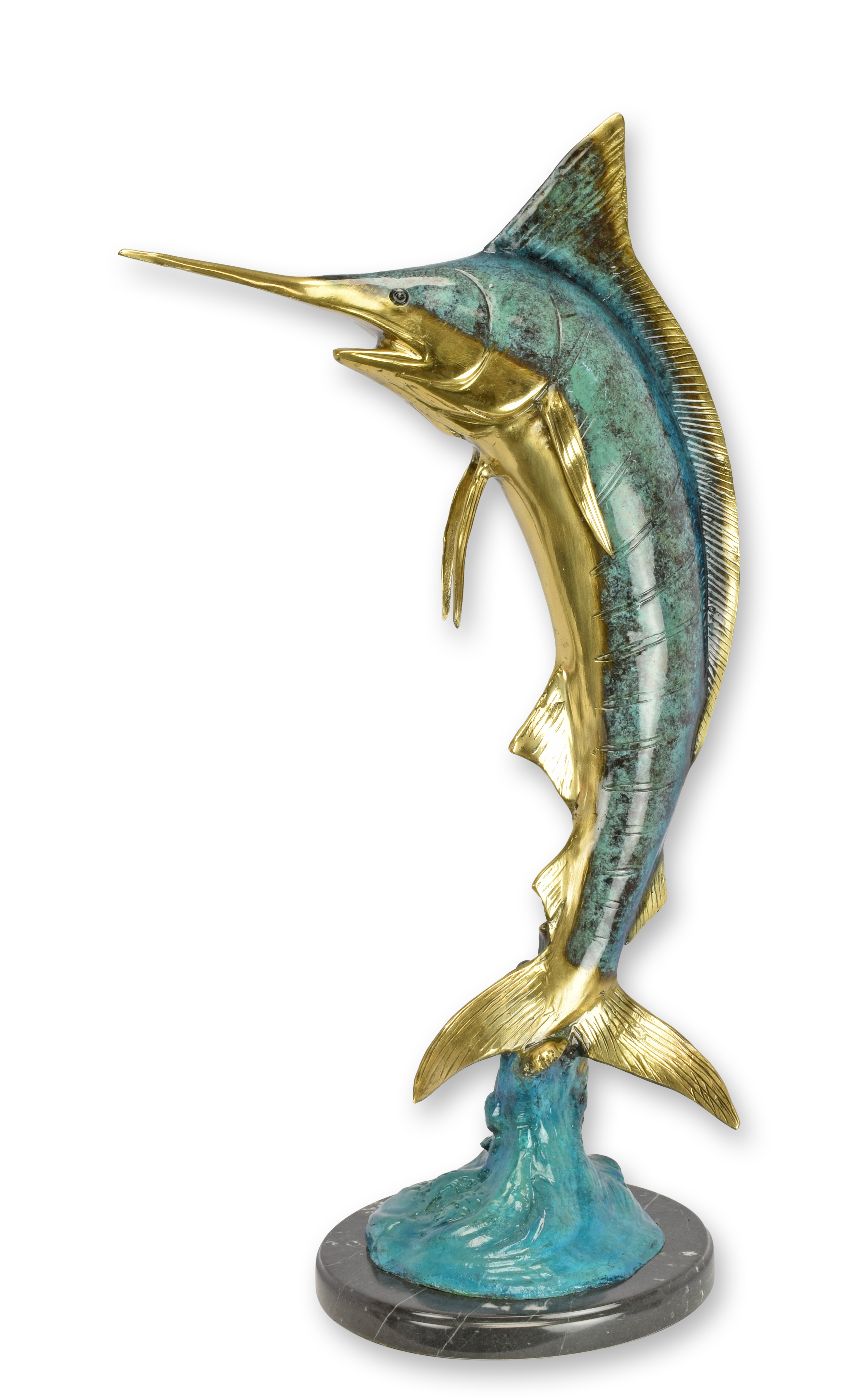 Tier, Leben im Meer, Fische