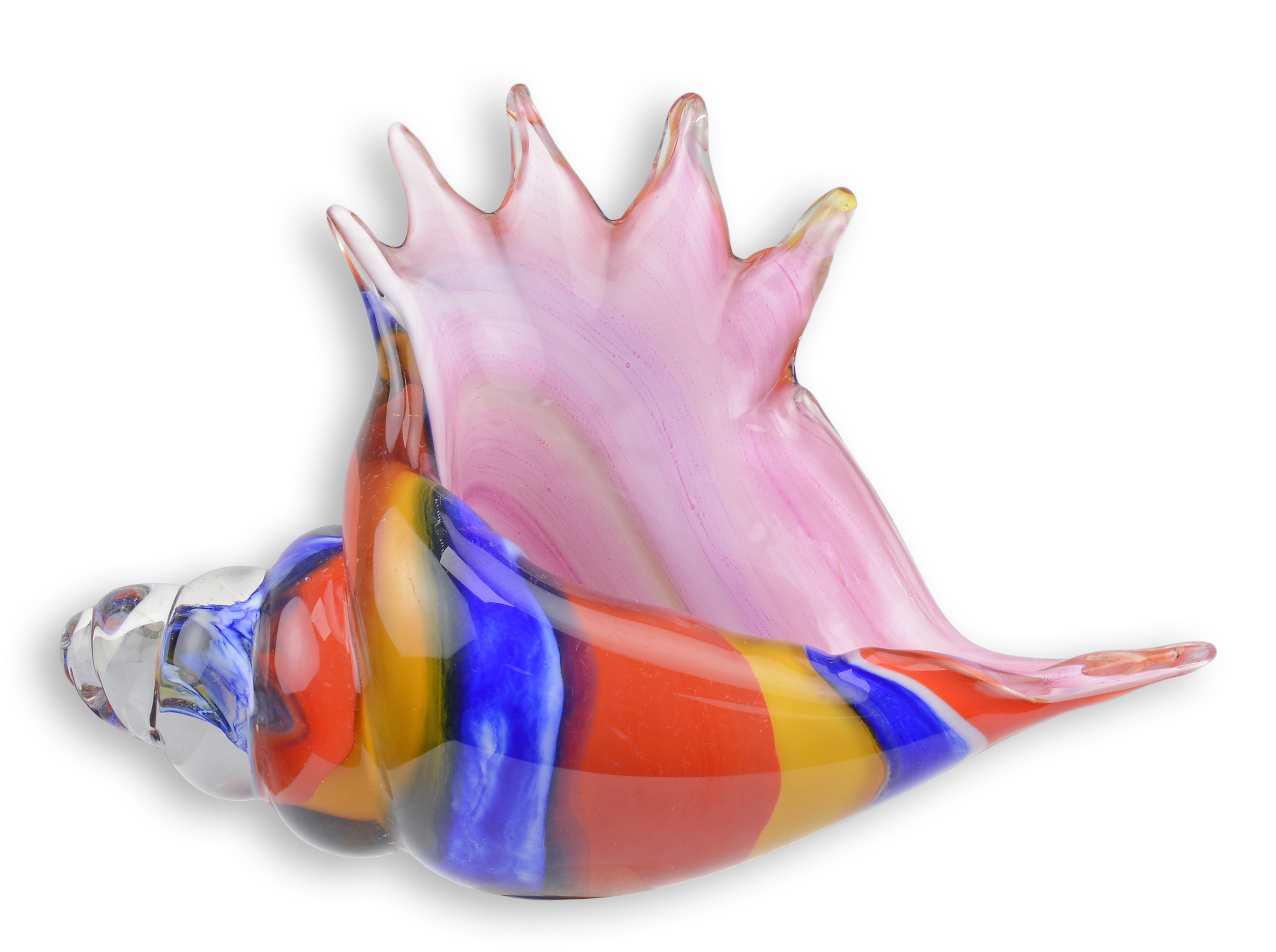 Tier, Wirbelloses Tier, Leben im Meer, Muschel