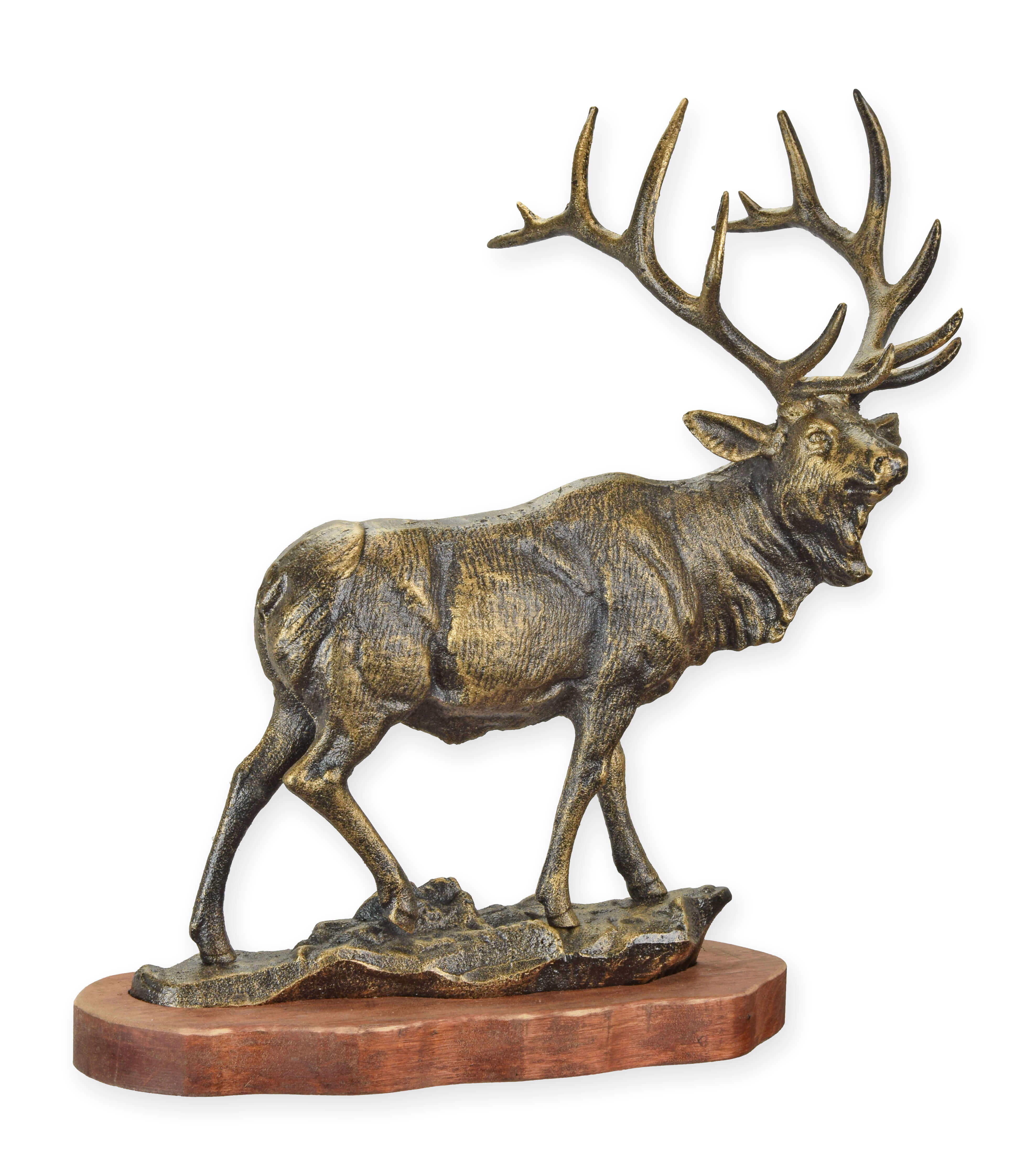 Hirsch, Wildtiere, Elch, Geweih, Antilope