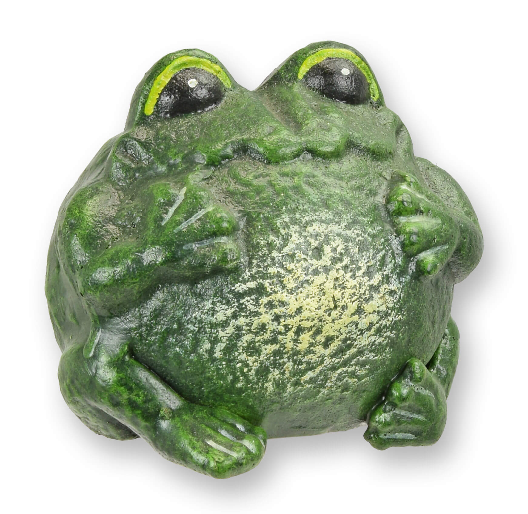 Amphibie, Tier, Frosch, Tierwelt