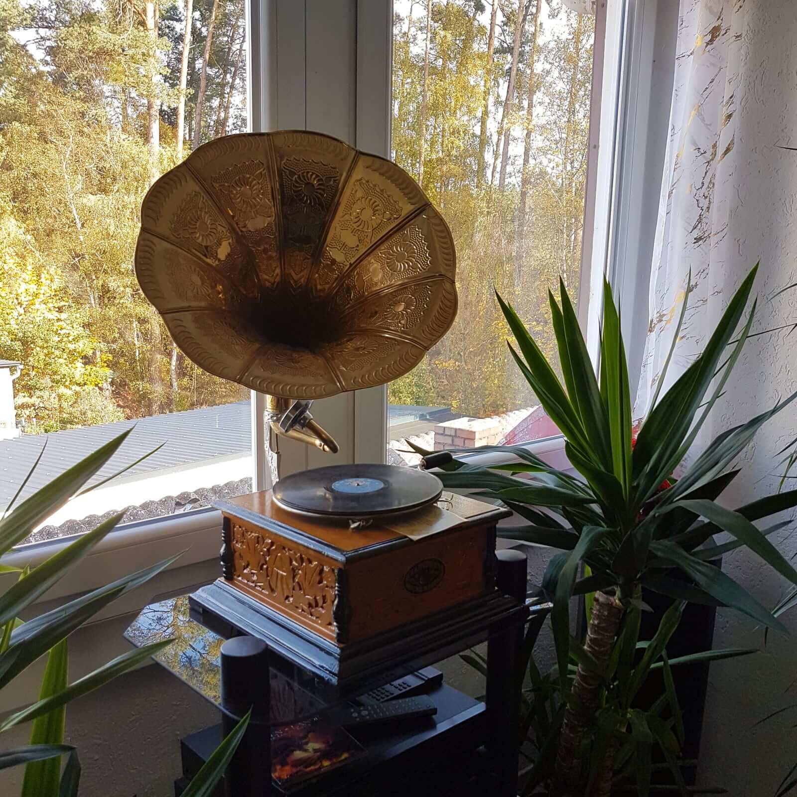 Nostalgia grammofono gramophone imbuto decorazione in stile antico (h)